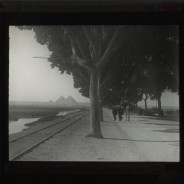 Böhl glass slide 71./1017